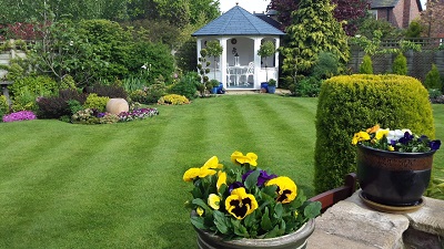 caldy open gardens pic 1