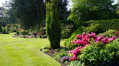 caldy open gardens pic 1